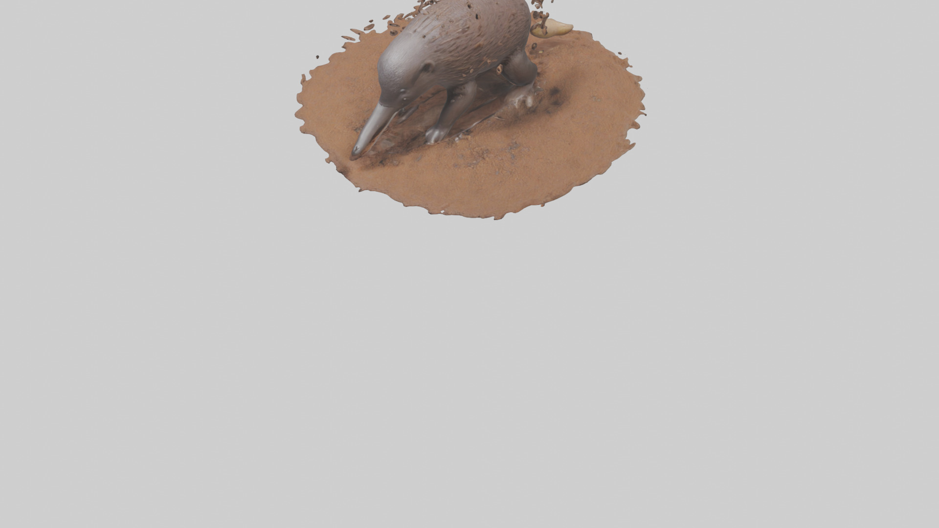 Echidna digging for ants model 3D model_6
