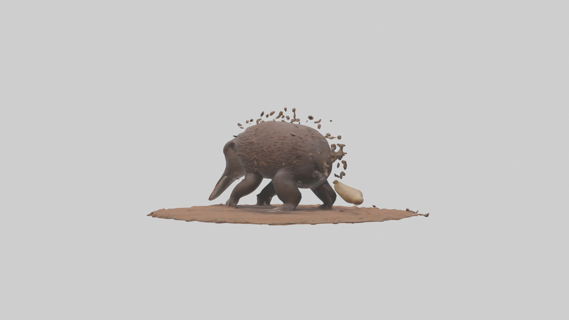Echidna digging for ants model 3D model_2