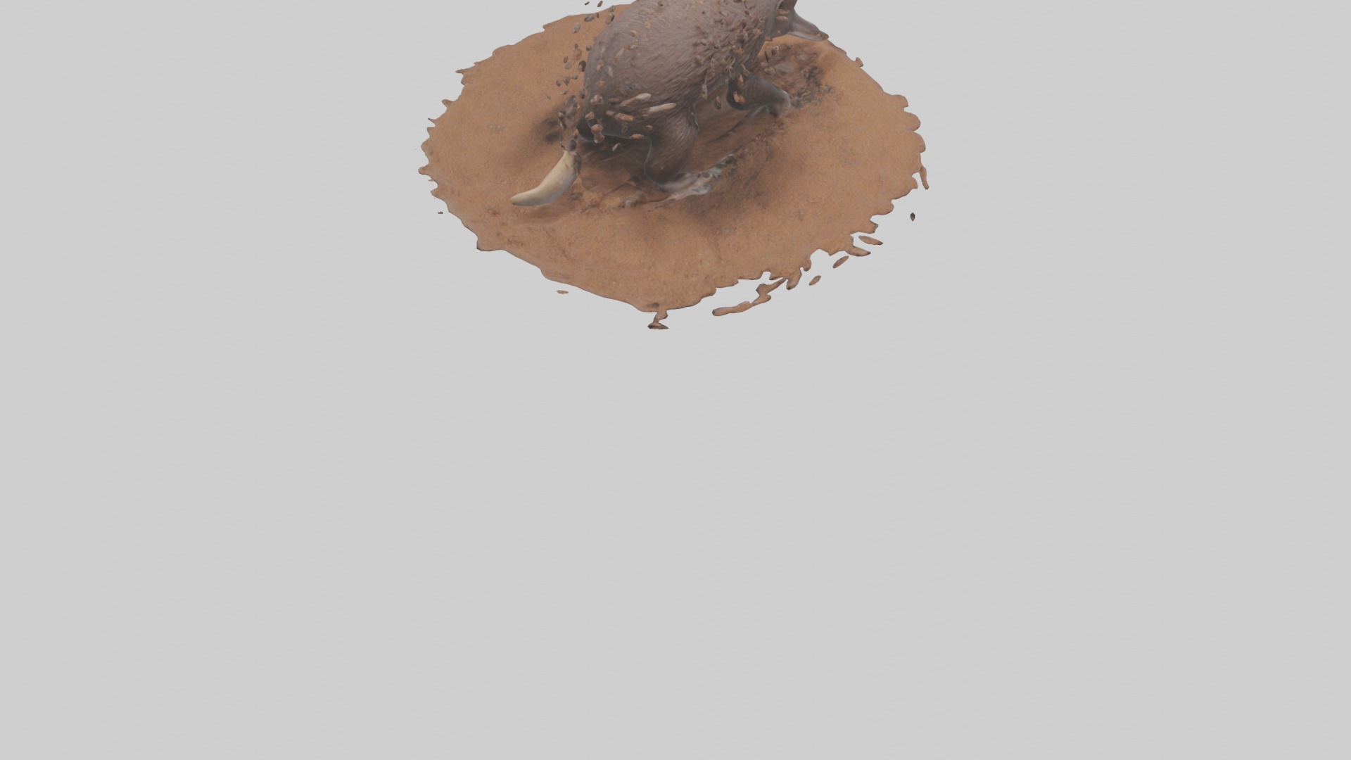 Echidna digging for ants model 3D model_5