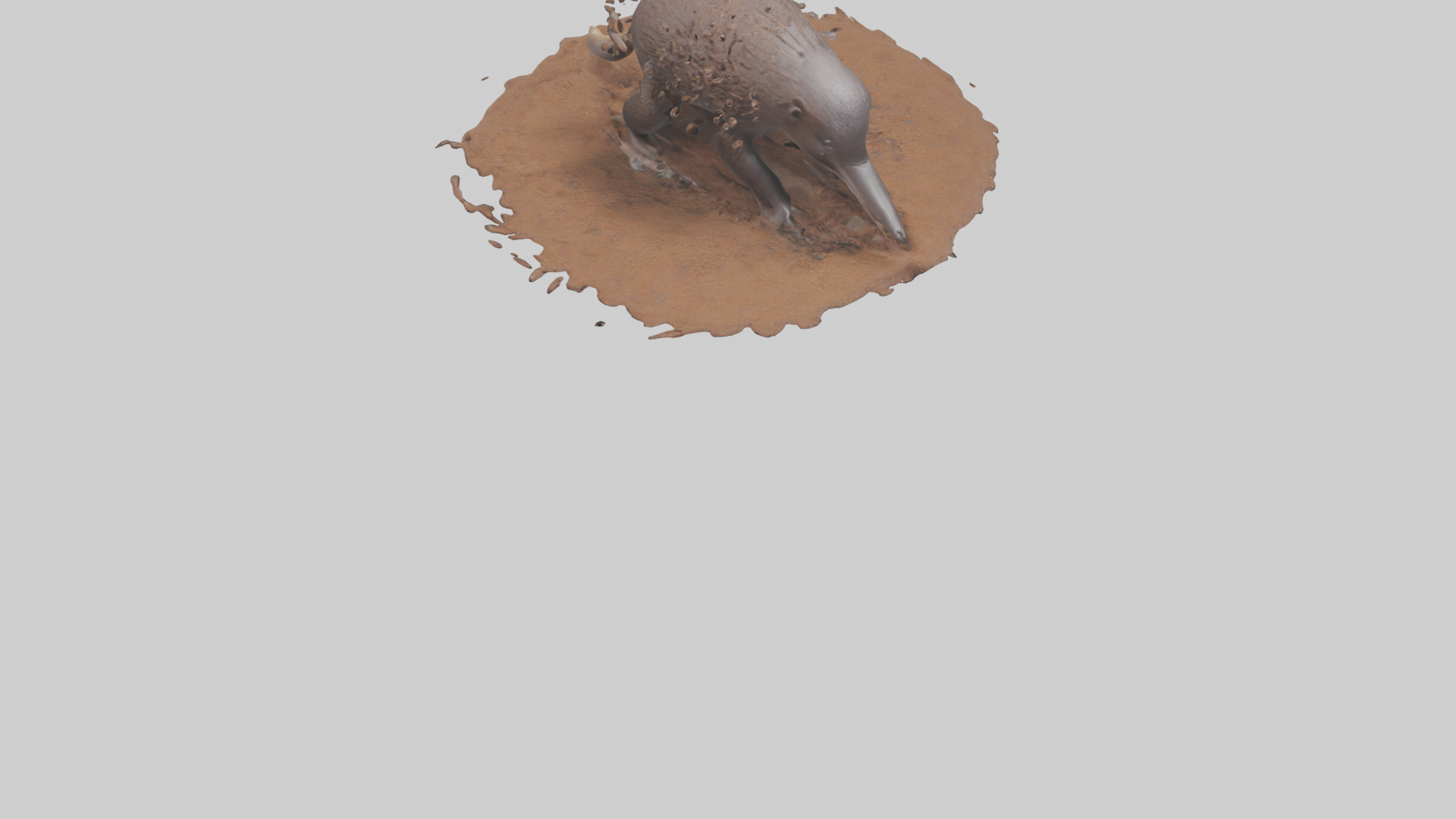 Echidna digging for ants model 3D model_7