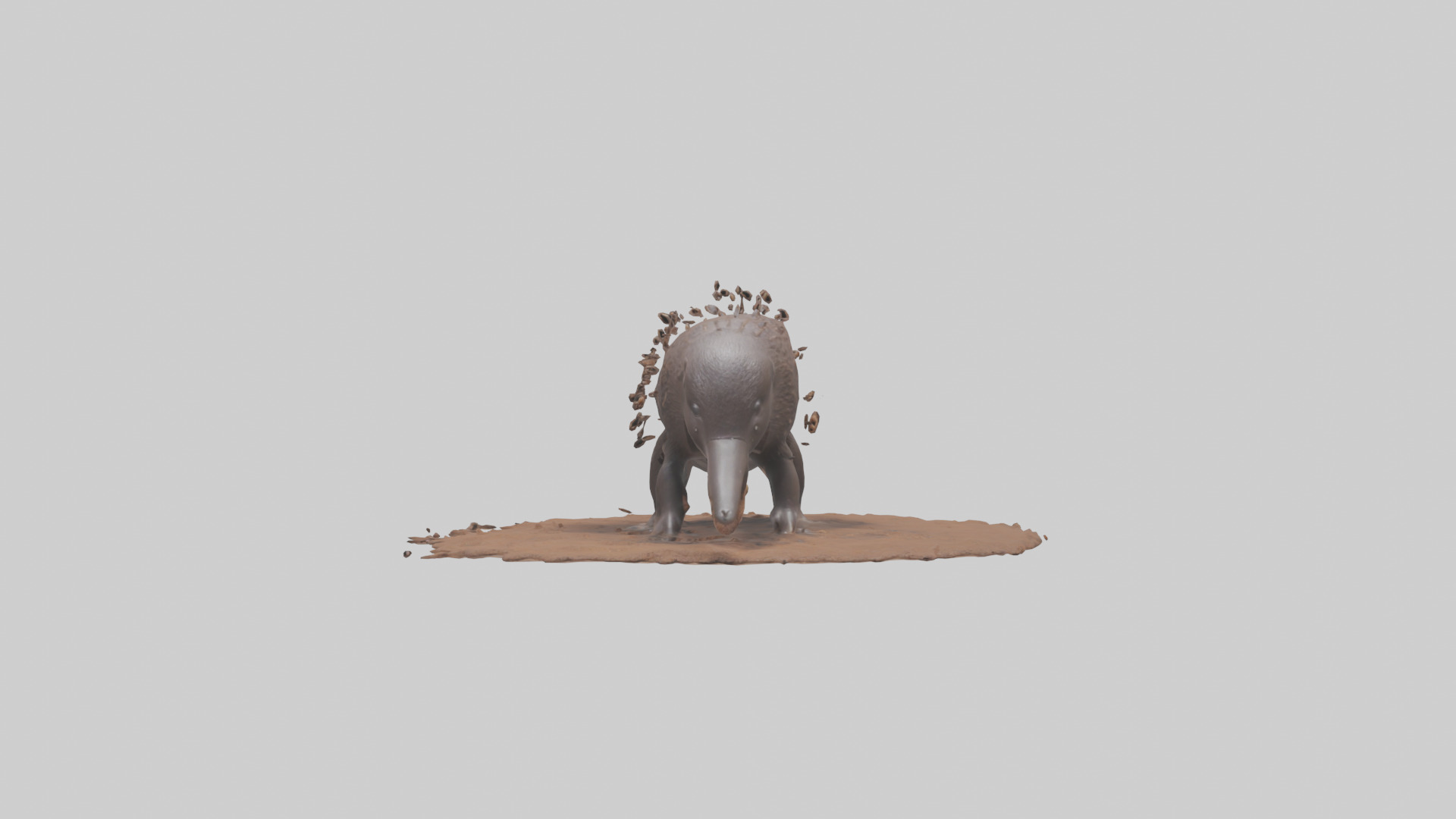 Echidna digging for ants model 3D model_9