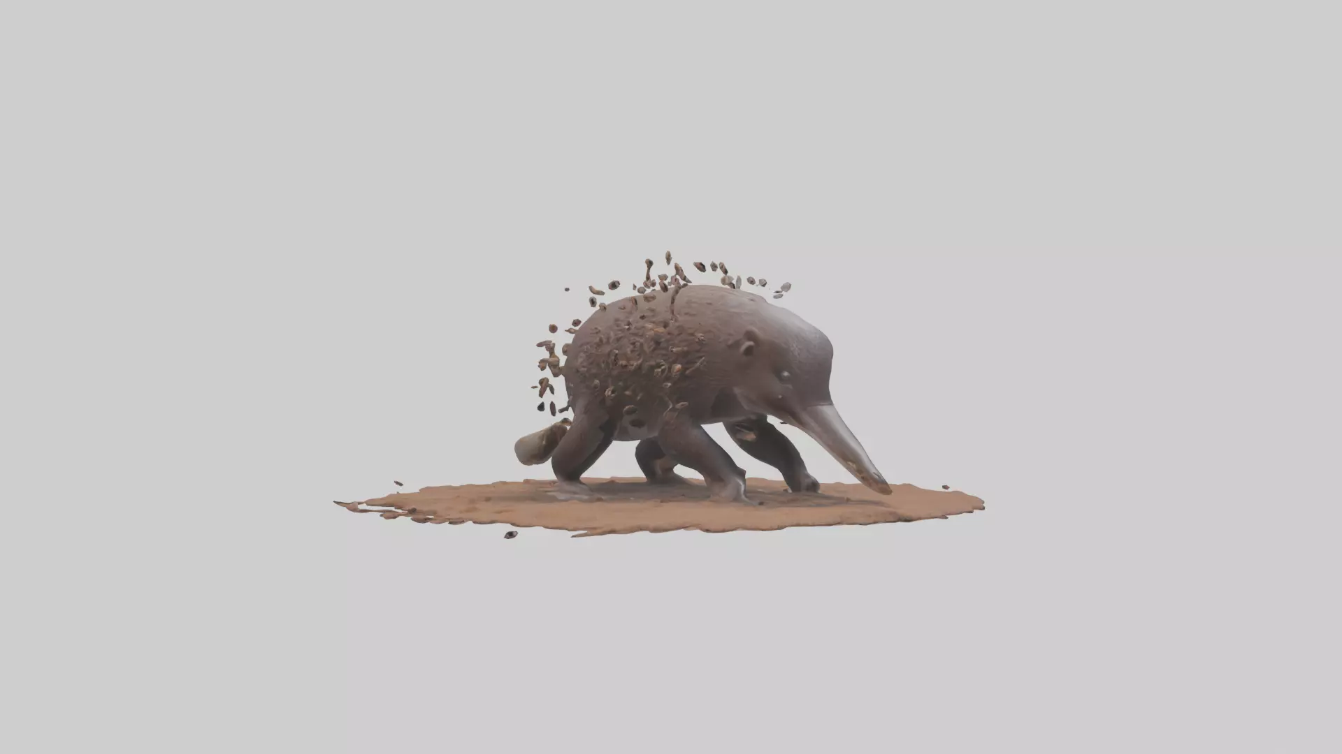 Echidna digging for ants model 3D model_0