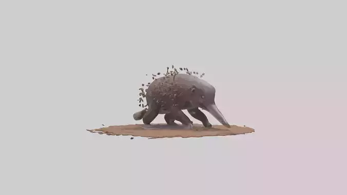 Echidna digging for ants model