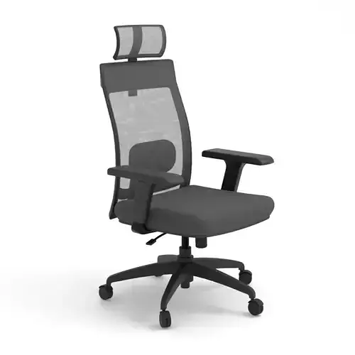 Ergonomic Office Chair