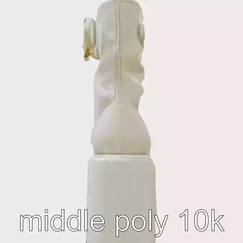 Platform Ankle Boots with Thick Sole and Buckle