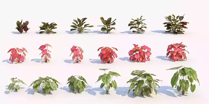 Grass and Modern Flowers Shrubs