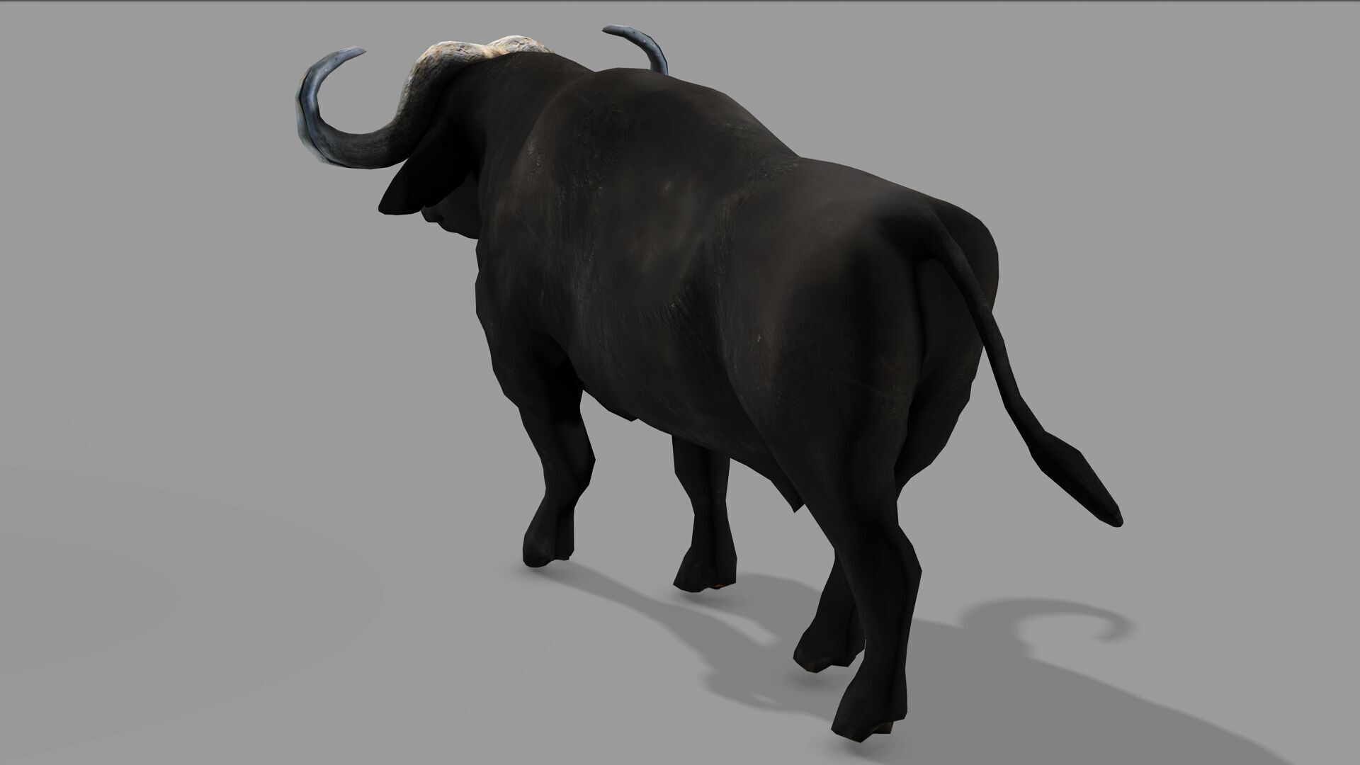 BUFFALLO RIGGED ANIMATED 12 Low-poly 3D model_8