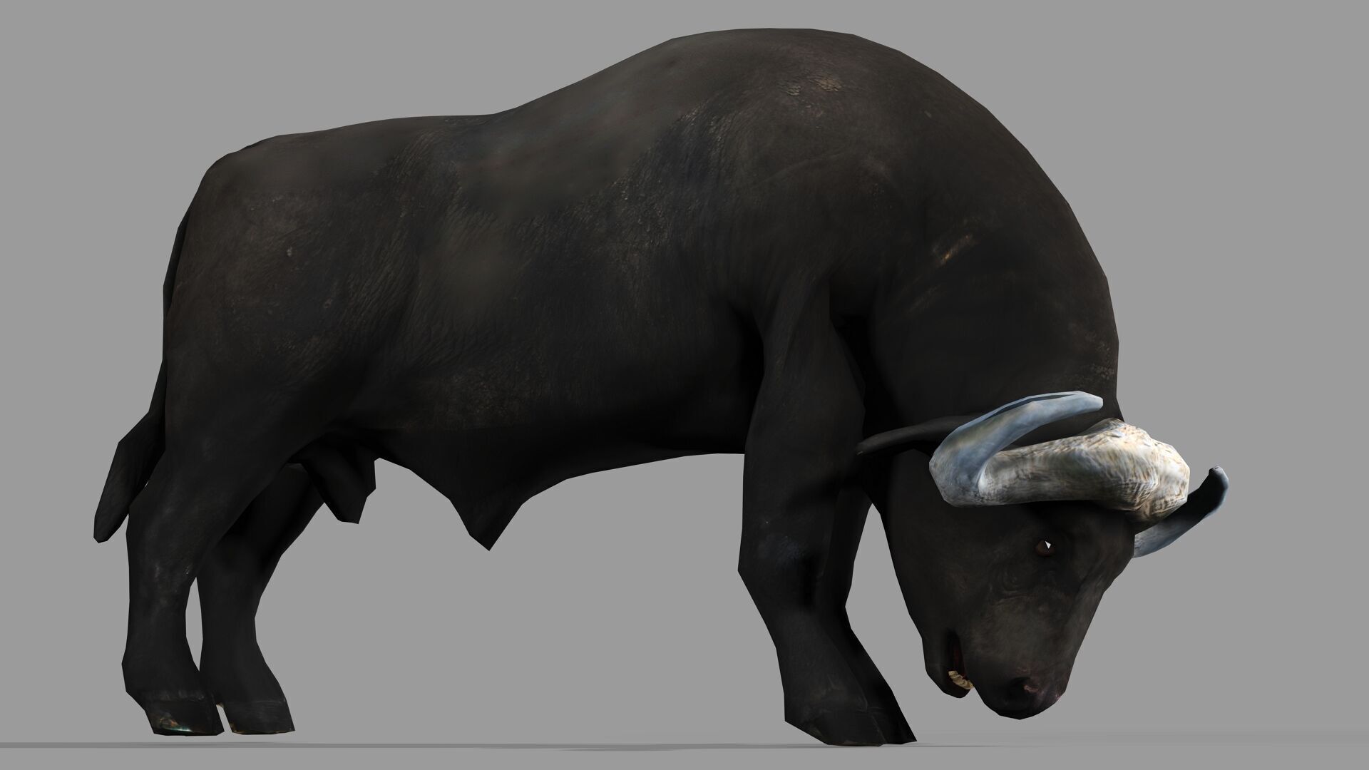 BUFFALLO RIGGED ANIMATED 12 Low-poly 3D model_4