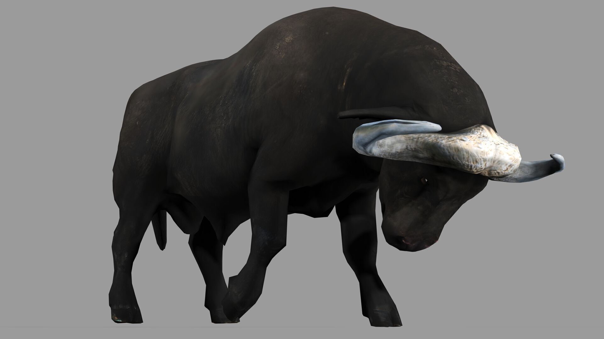 BUFFALLO RIGGED ANIMATED 12 Low-poly 3D model_7