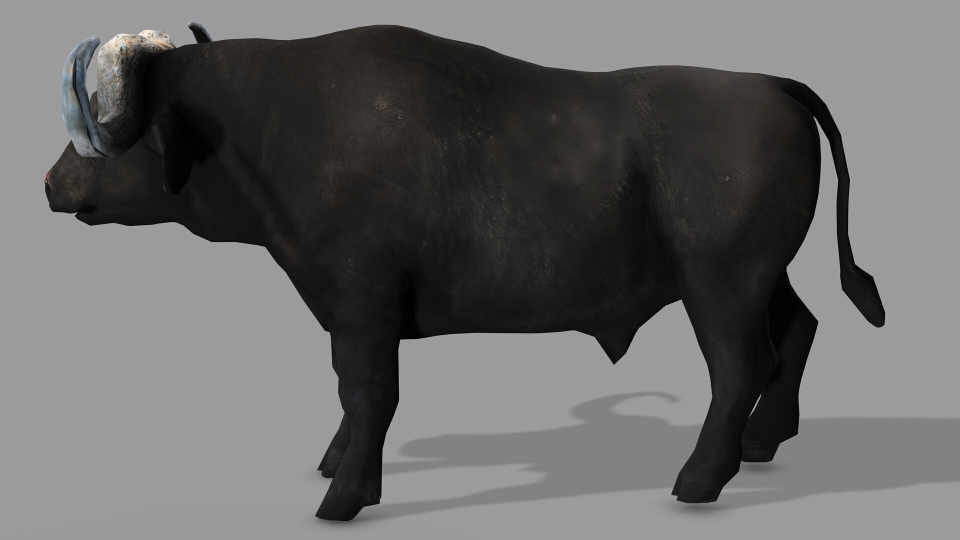 BUFFALLO RIGGED ANIMATED 12 Low-poly 3D model_6