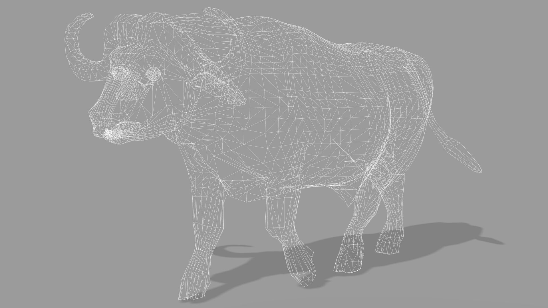 BUFFALLO RIGGED ANIMATED 12 Low-poly 3D model_12