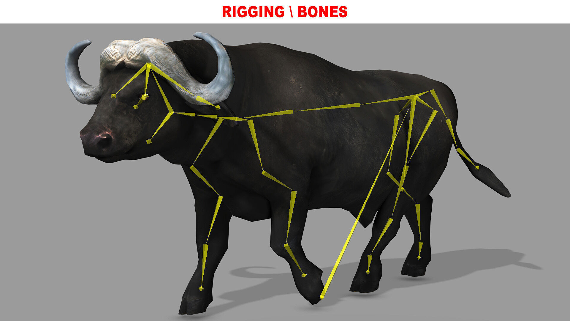 BUFFALLO RIGGED ANIMATED 12 Low-poly 3D model_9