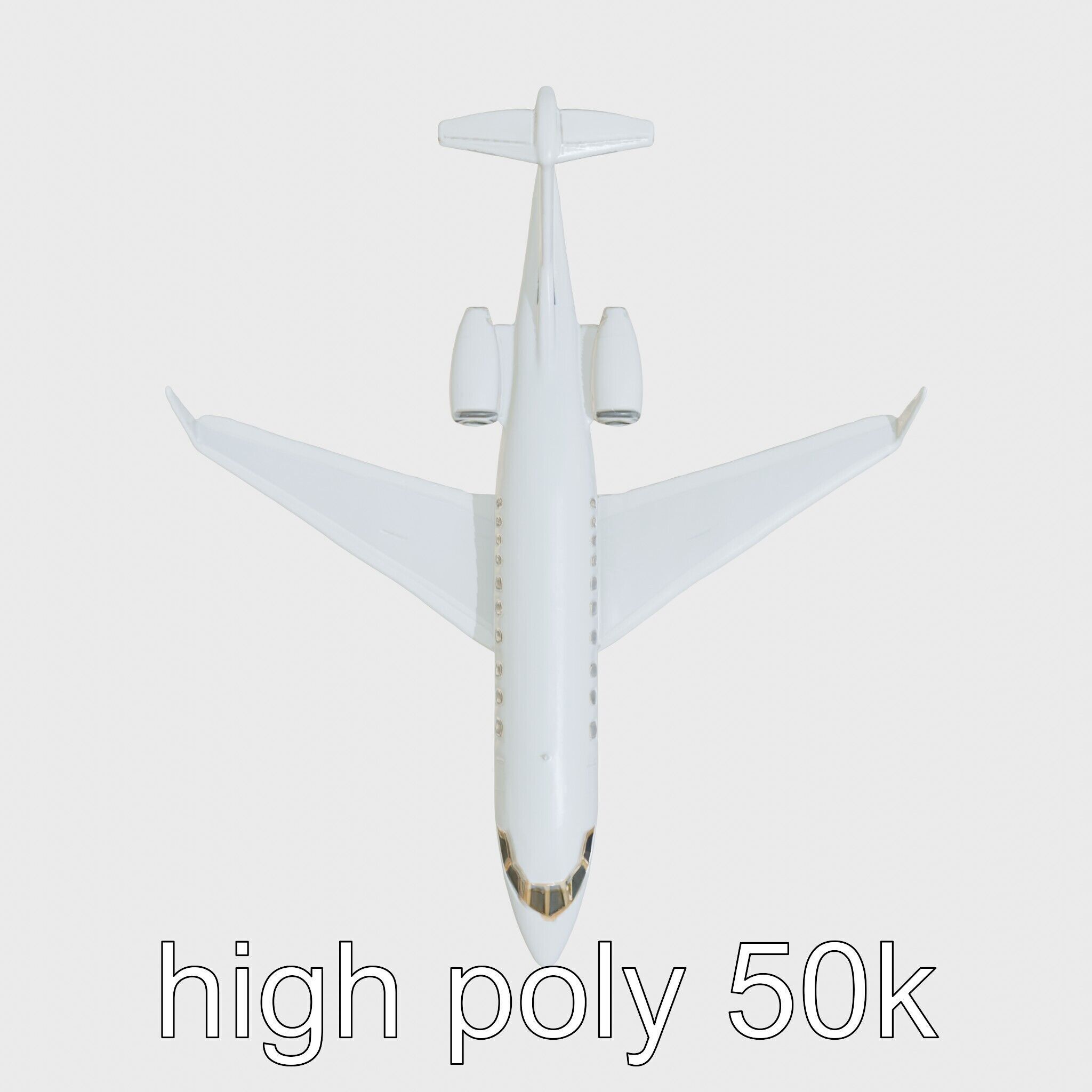 Light Gray Government Transport Jet with Blue-White Stripes Low-poly 3D model_5
