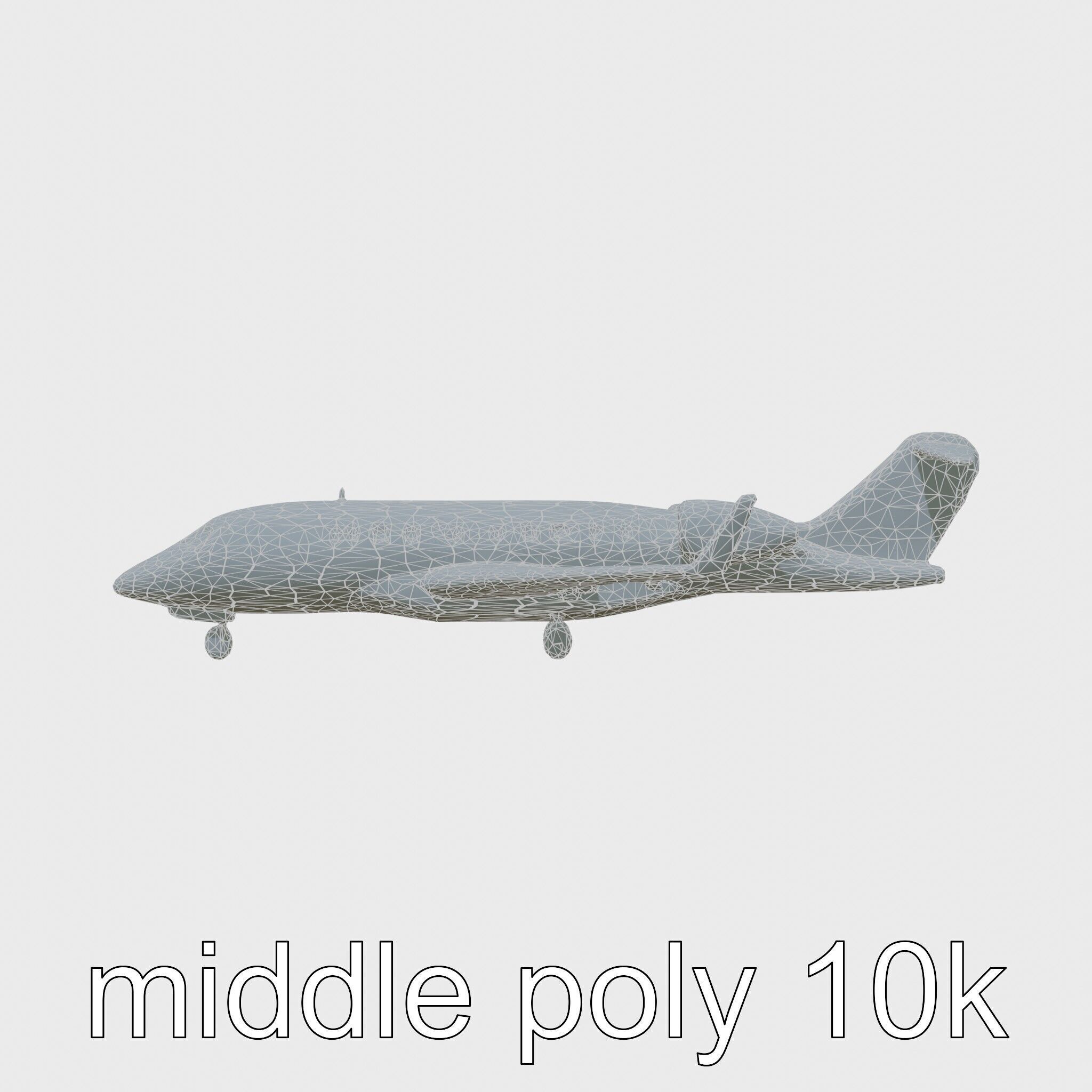 Light Gray Government Transport Jet with Blue-White Stripes Low-poly 3D model_27