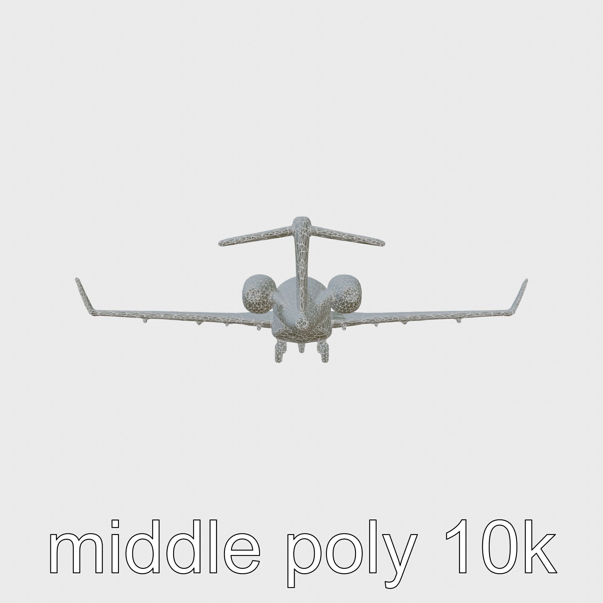 Light Gray Government Transport Jet with Blue-White Stripes Low-poly 3D model_9