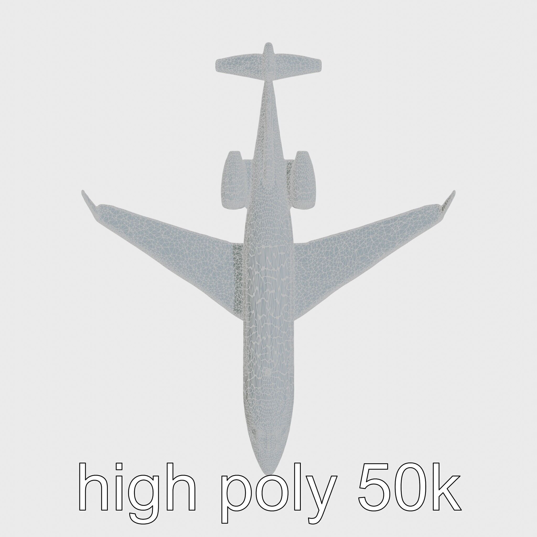 Light Gray Government Transport Jet with Blue-White Stripes Low-poly 3D model_8