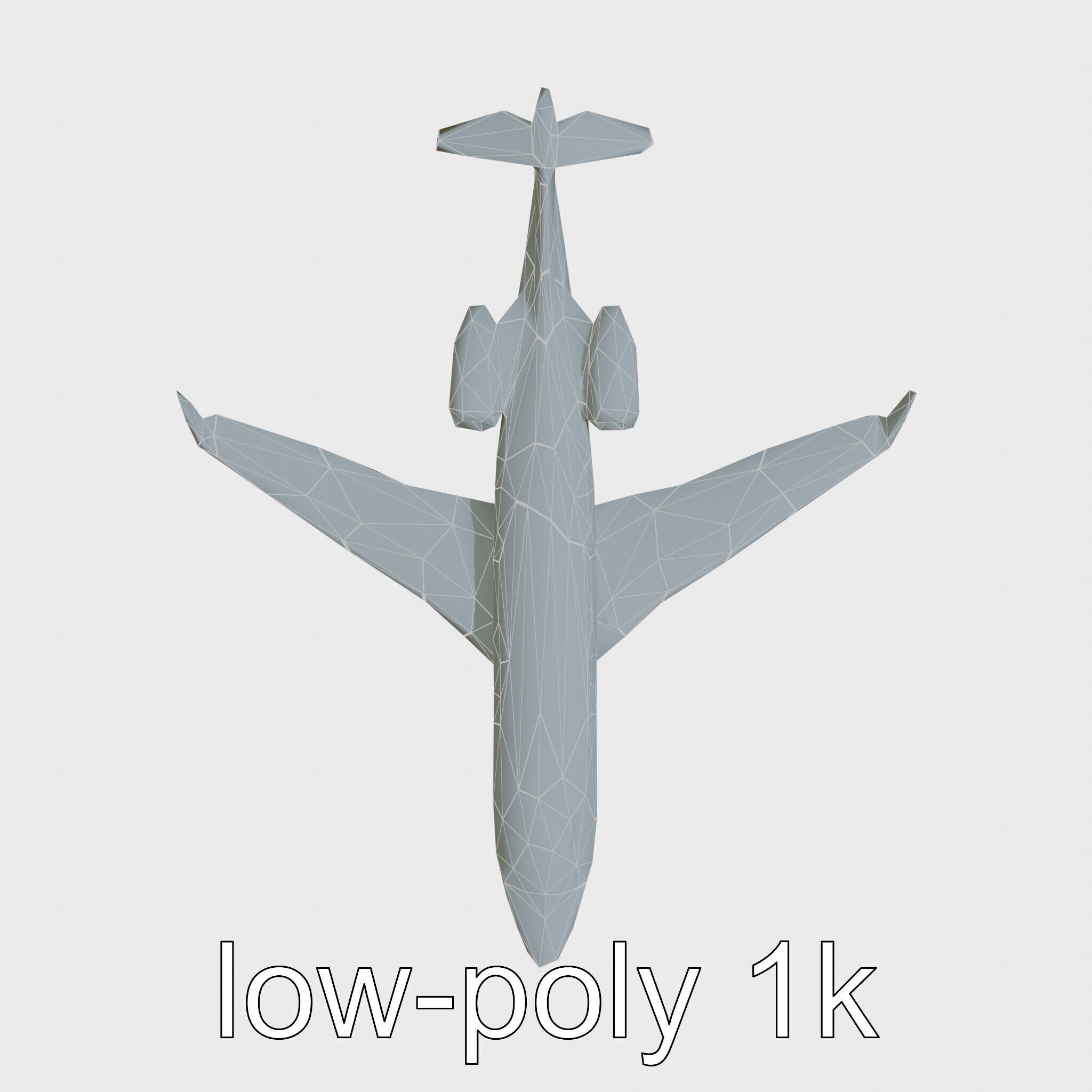 Light Gray Government Transport Jet with Blue-White Stripes Low-poly 3D model_25