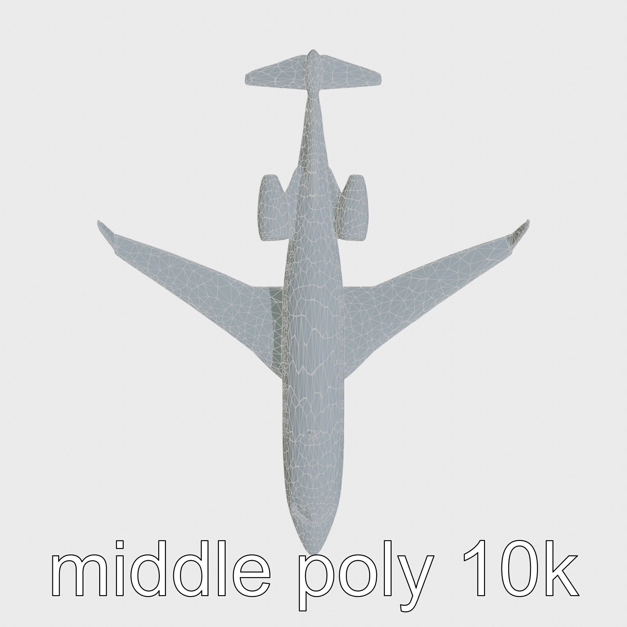 Light Gray Government Transport Jet with Blue-White Stripes Low-poly 3D model_33