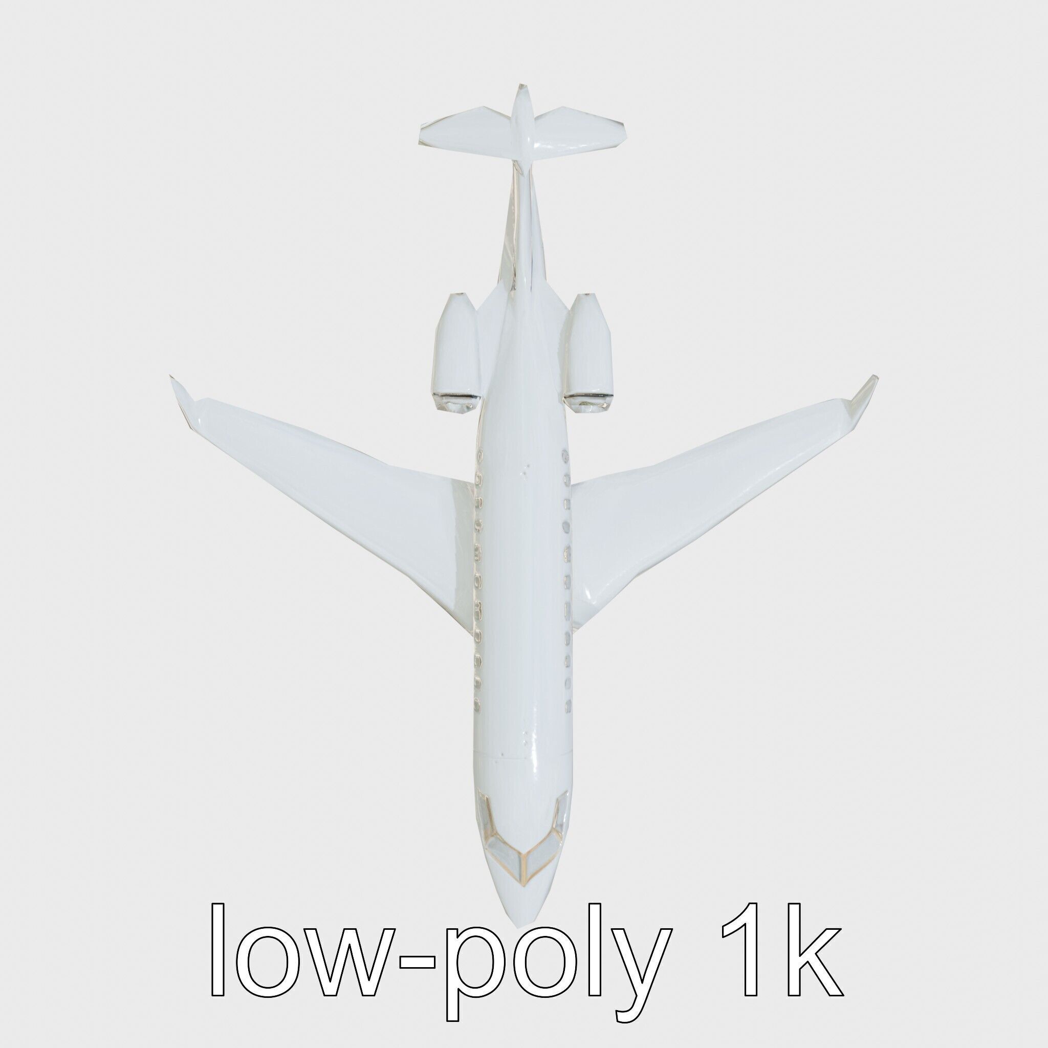 Light Gray Government Transport Jet with Blue-White Stripes Low-poly 3D model_20