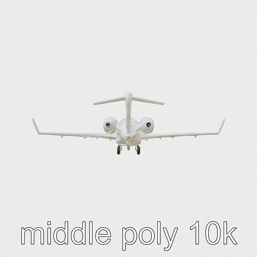 Light Gray Government Transport Jet with Blue-White Stripes Low-poly 3D model