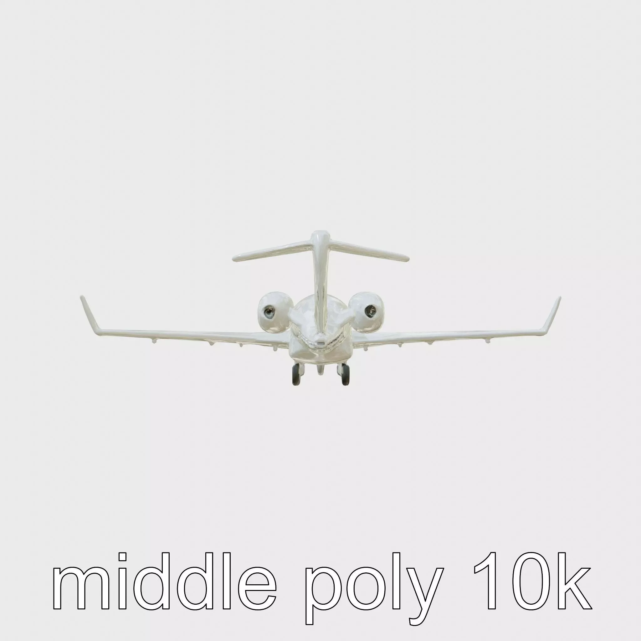 Light Gray Government Transport Jet with Blue-White Stripes Low-poly 3D model_0