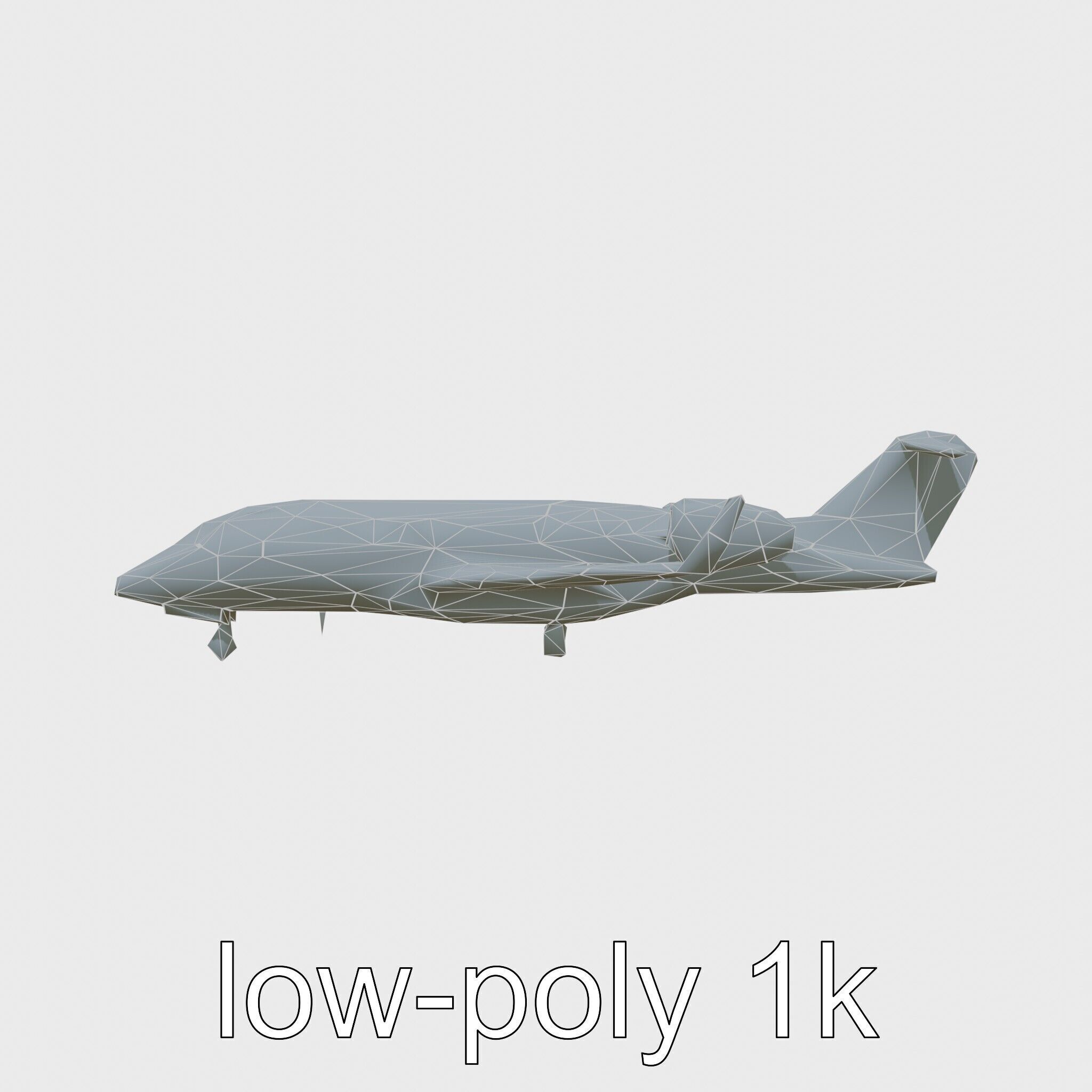 Light Gray Government Transport Jet with Blue-White Stripes Low-poly 3D model_26