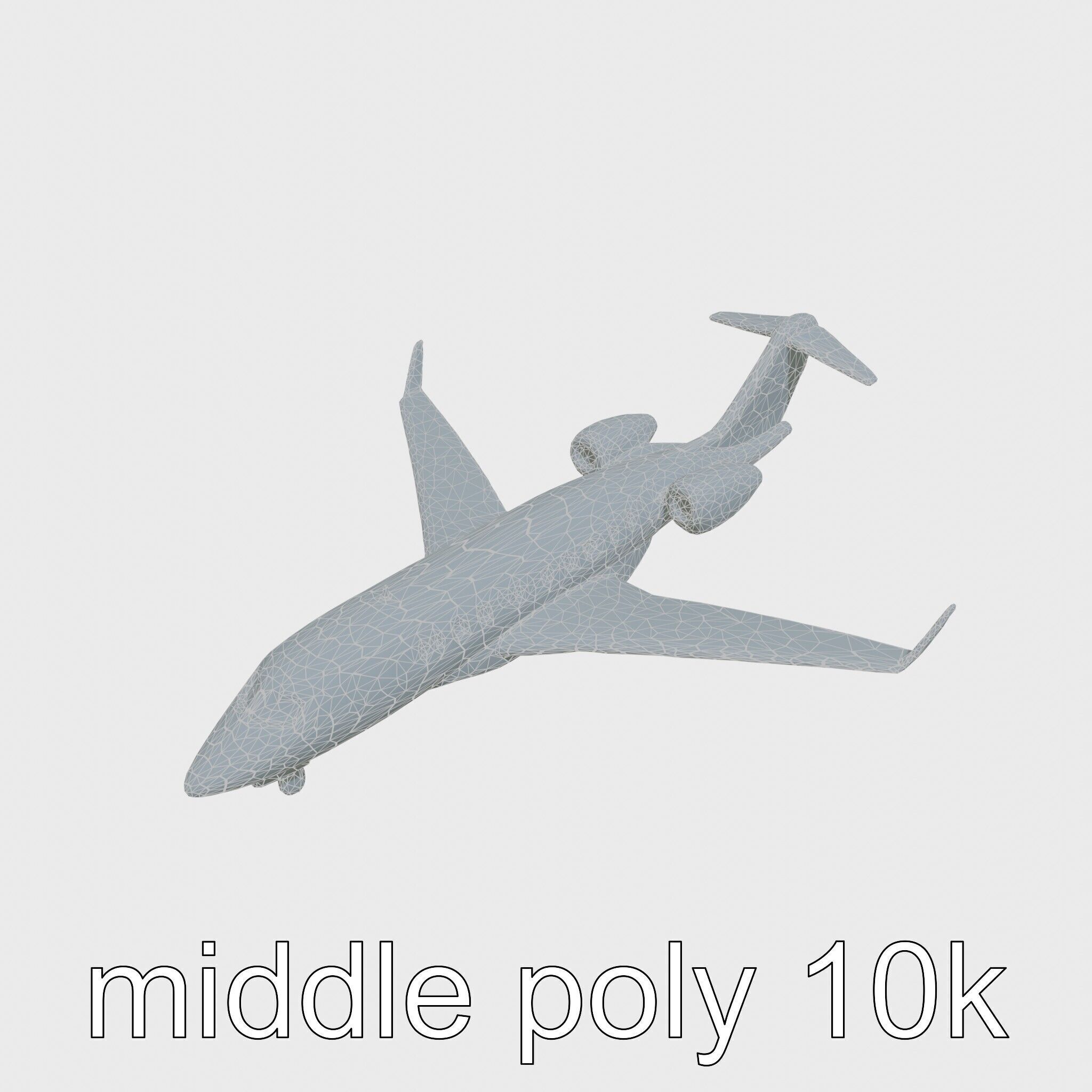 Light Gray Government Transport Jet with Blue-White Stripes Low-poly 3D model_31