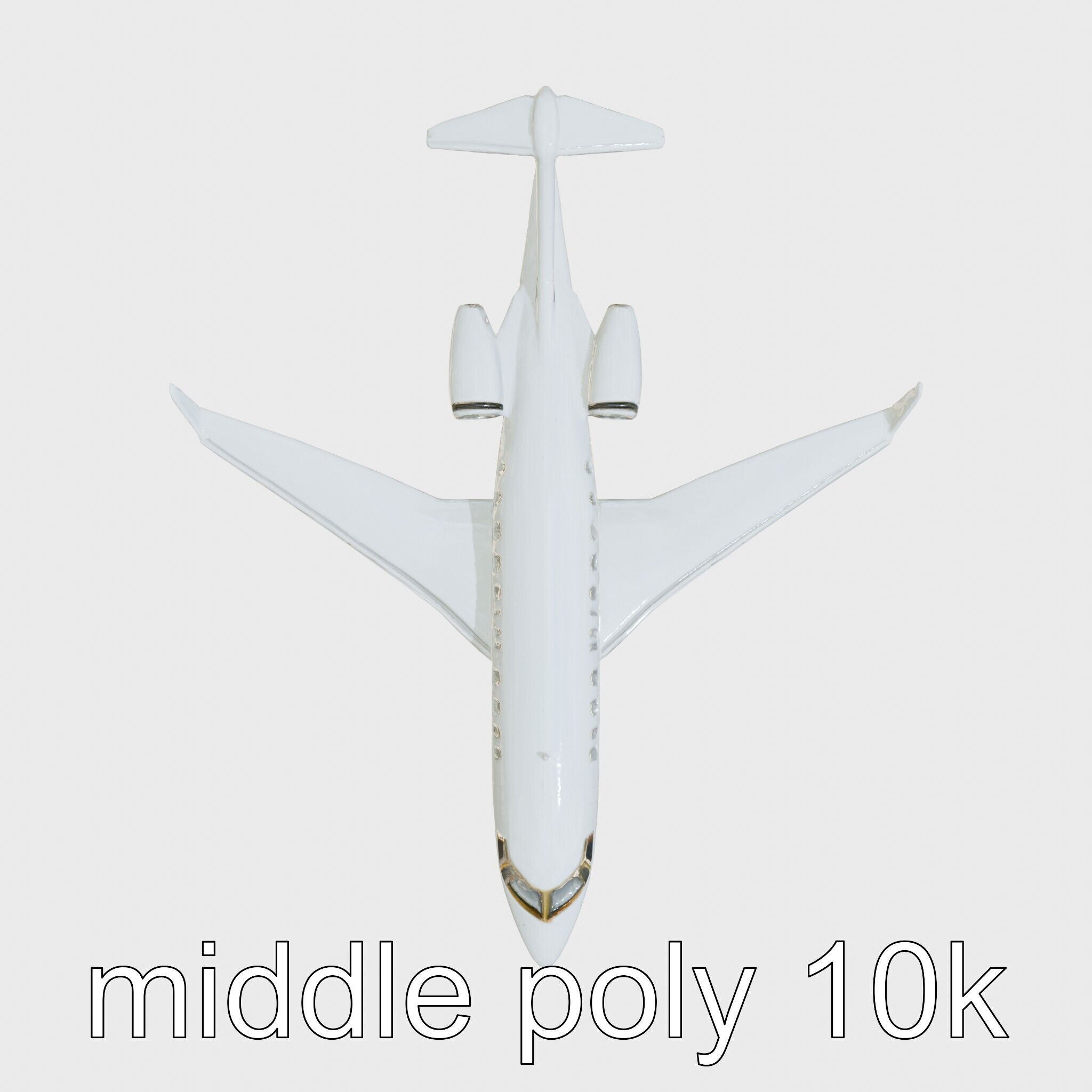 Light Gray Government Transport Jet with Blue-White Stripes Low-poly 3D model_16