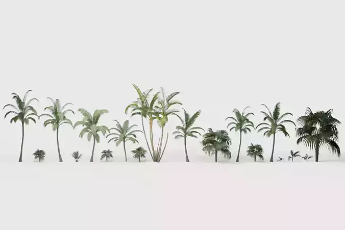 18 Palm Tree Model Sets