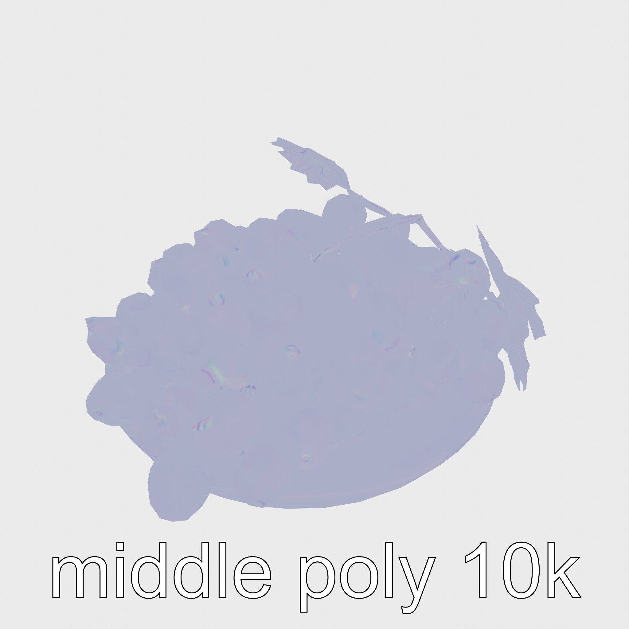 Green Sultana Grapes in Terracotta Bowl 3D Model Low-poly 3D model_28