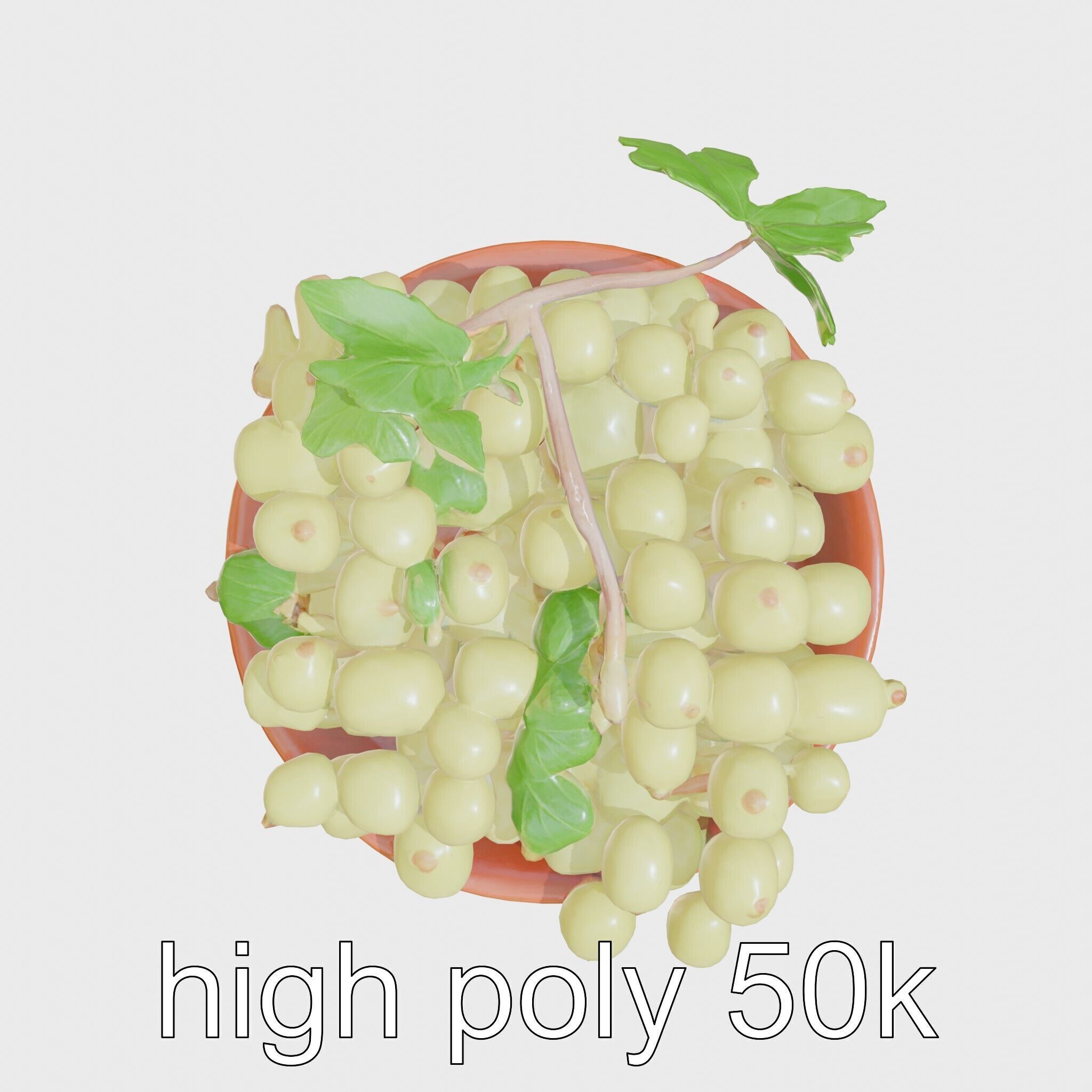 Green Sultana Grapes in Terracotta Bowl 3D Model Low-poly 3D model_29