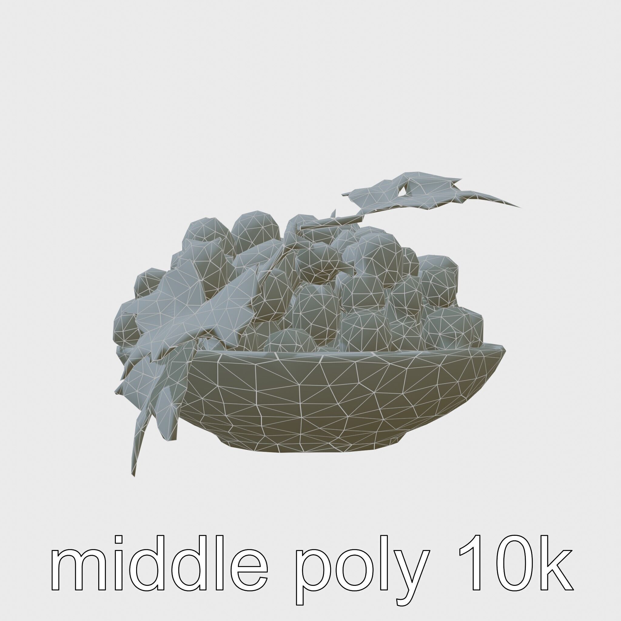 Green Sultana Grapes in Terracotta Bowl 3D Model Low-poly 3D model_9