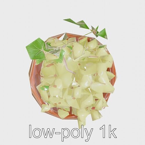Green Sultana Grapes in Terracotta Bowl 3D Model Low-poly 3D model 5