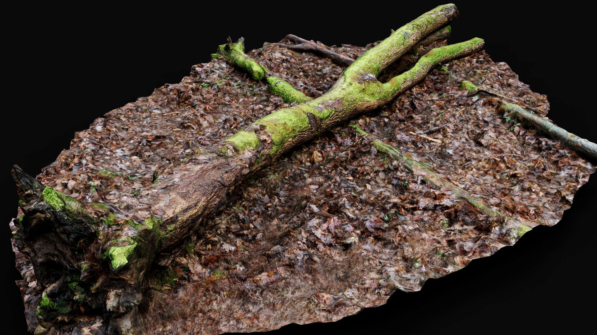 forest ground mossy tree trunk debris pt13 photogrammetry Low-poly 3D model_6