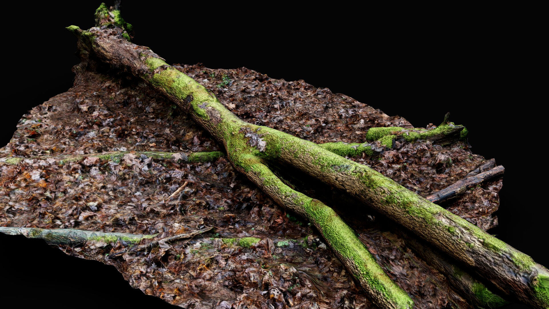 forest ground mossy tree trunk debris pt13 photogrammetry Low-poly 3D model_3