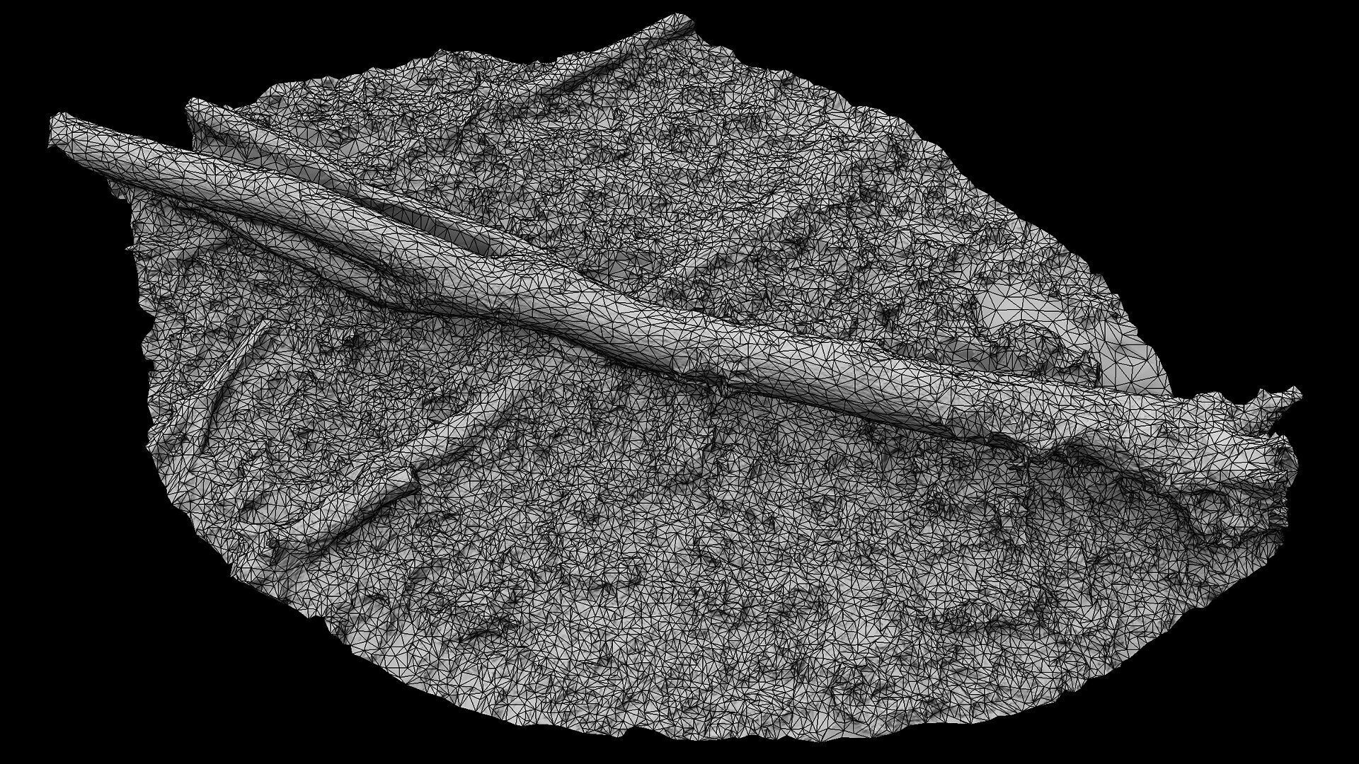 forest ground mossy tree trunk debris pt13 photogrammetry Low-poly 3D model_8