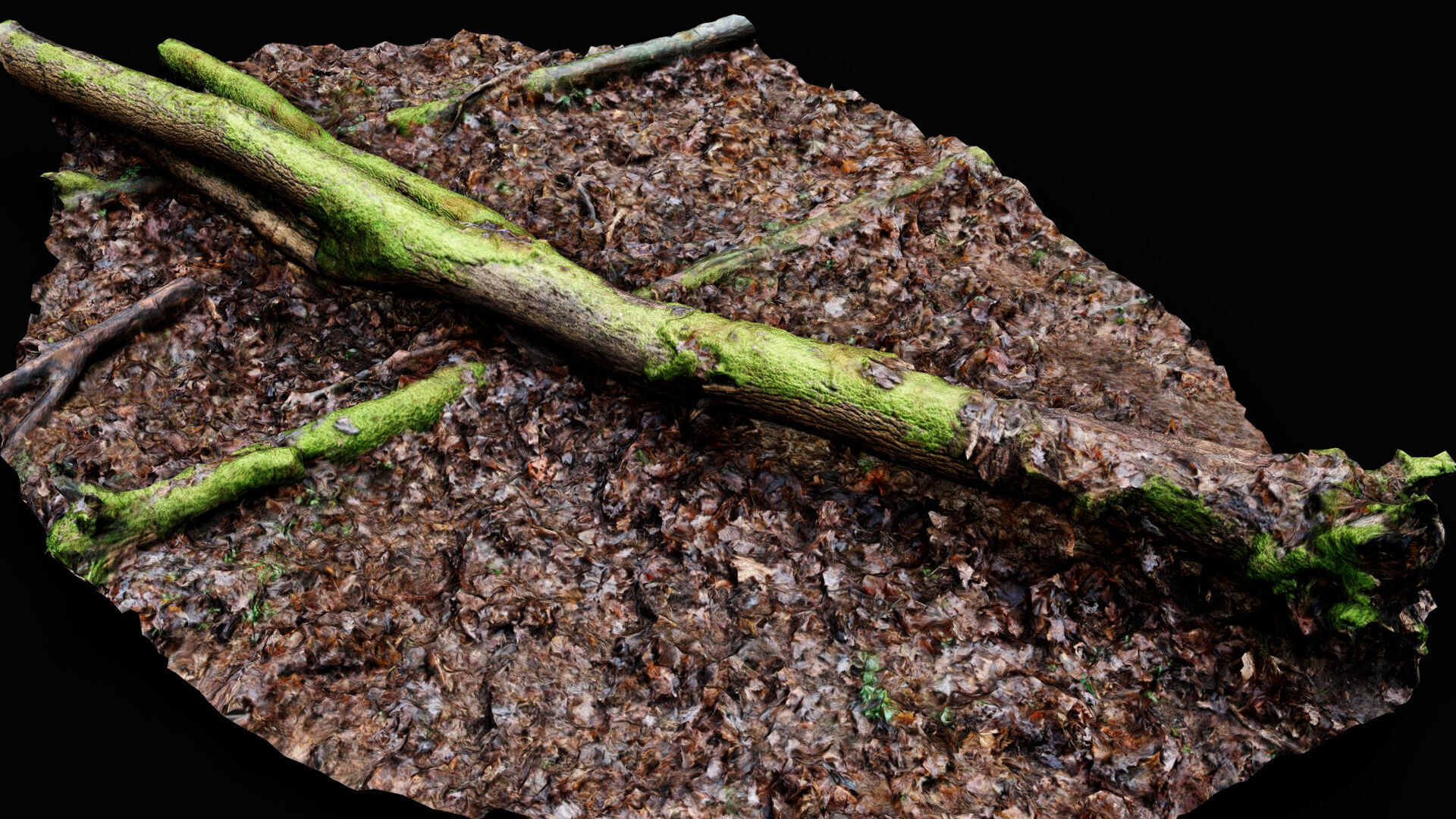 forest ground mossy tree trunk debris pt13 photogrammetry Low-poly 3D model_1