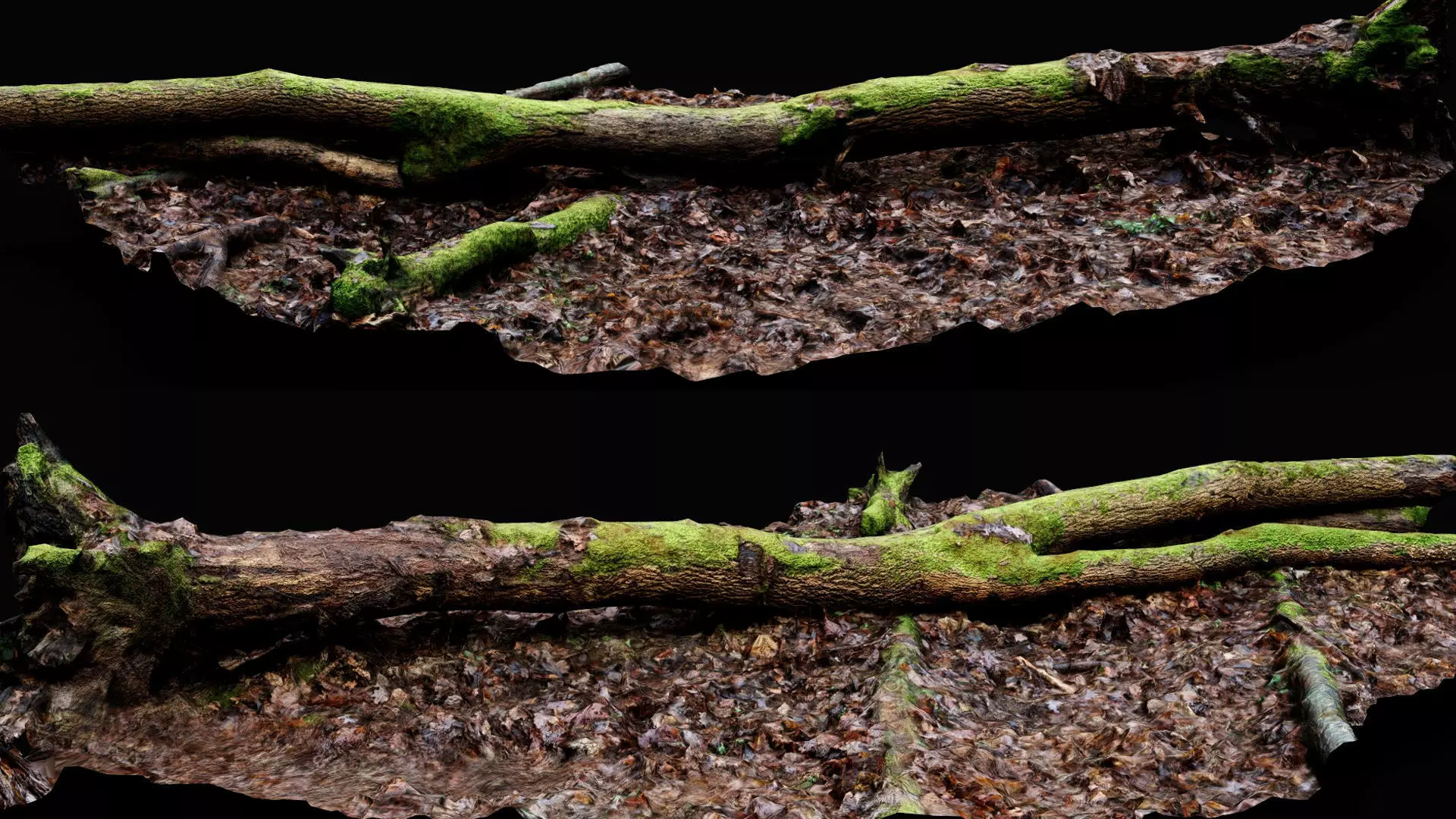forest ground mossy tree trunk debris pt13 photogrammetry Low-poly 3D model_0