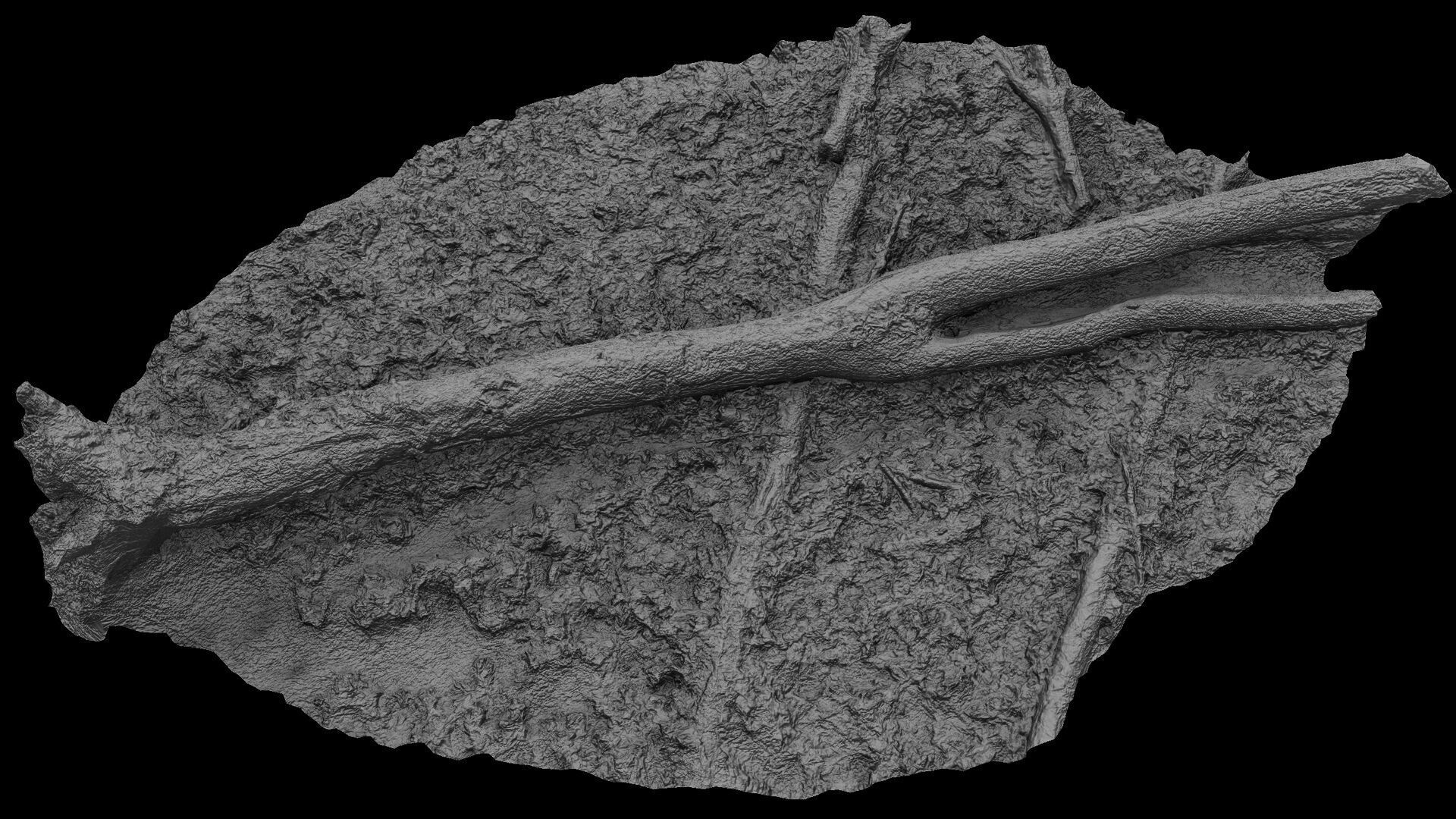 forest ground mossy tree trunk debris pt13 photogrammetry Low-poly 3D model_7