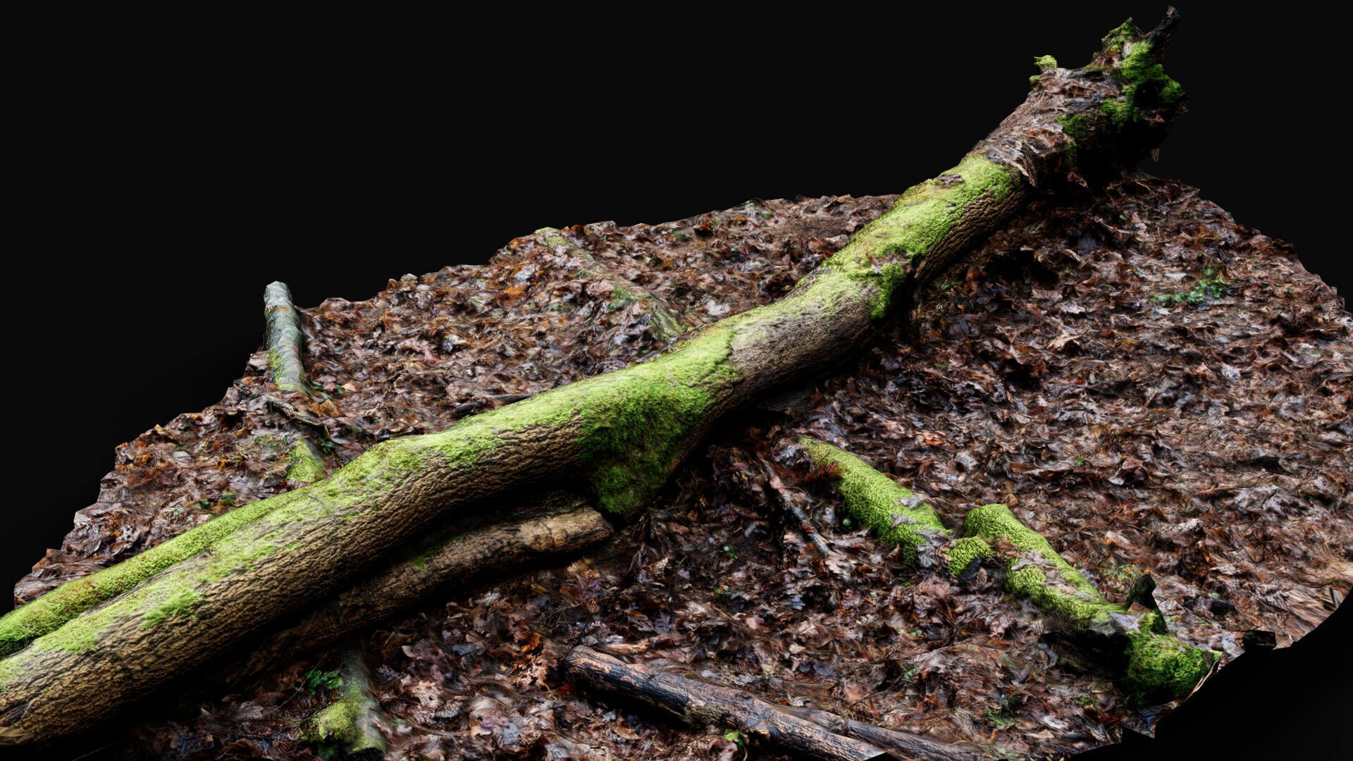 forest ground mossy tree trunk debris pt13 photogrammetry Low-poly 3D model_4