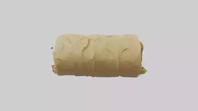 Falafel wrap model