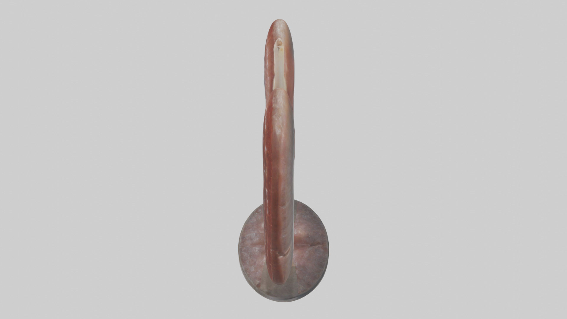 Falcon Kidneys 3D model_17