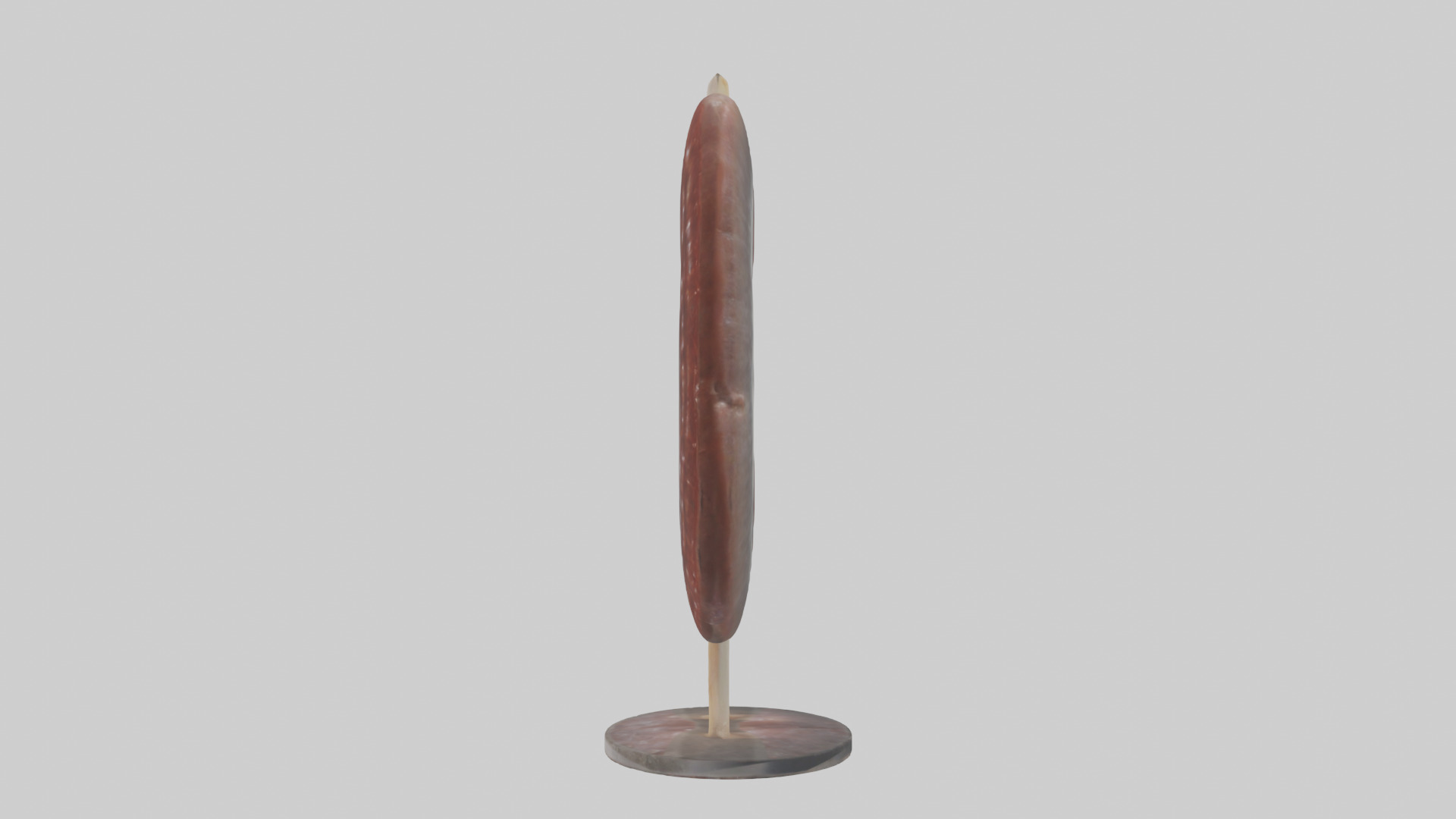 Falcon Kidneys 3D model_12