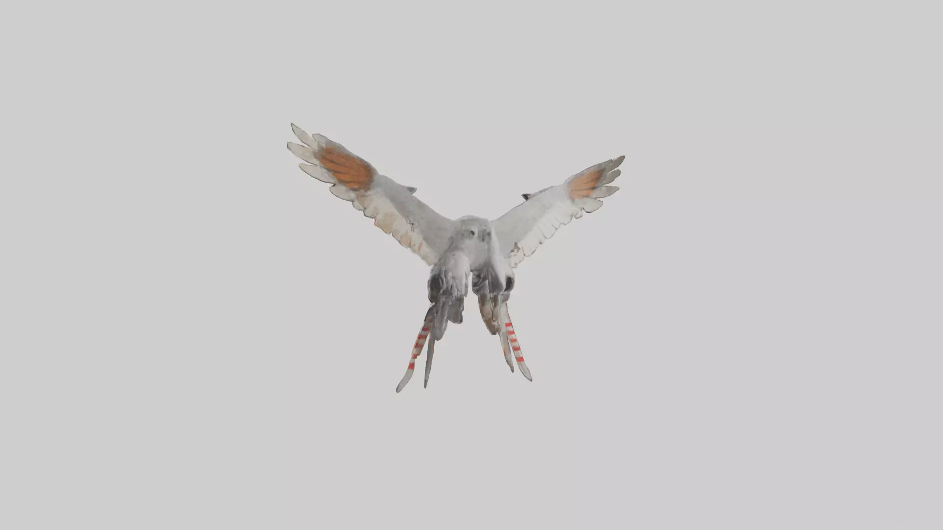 Falcon Wings Model 3D model_0