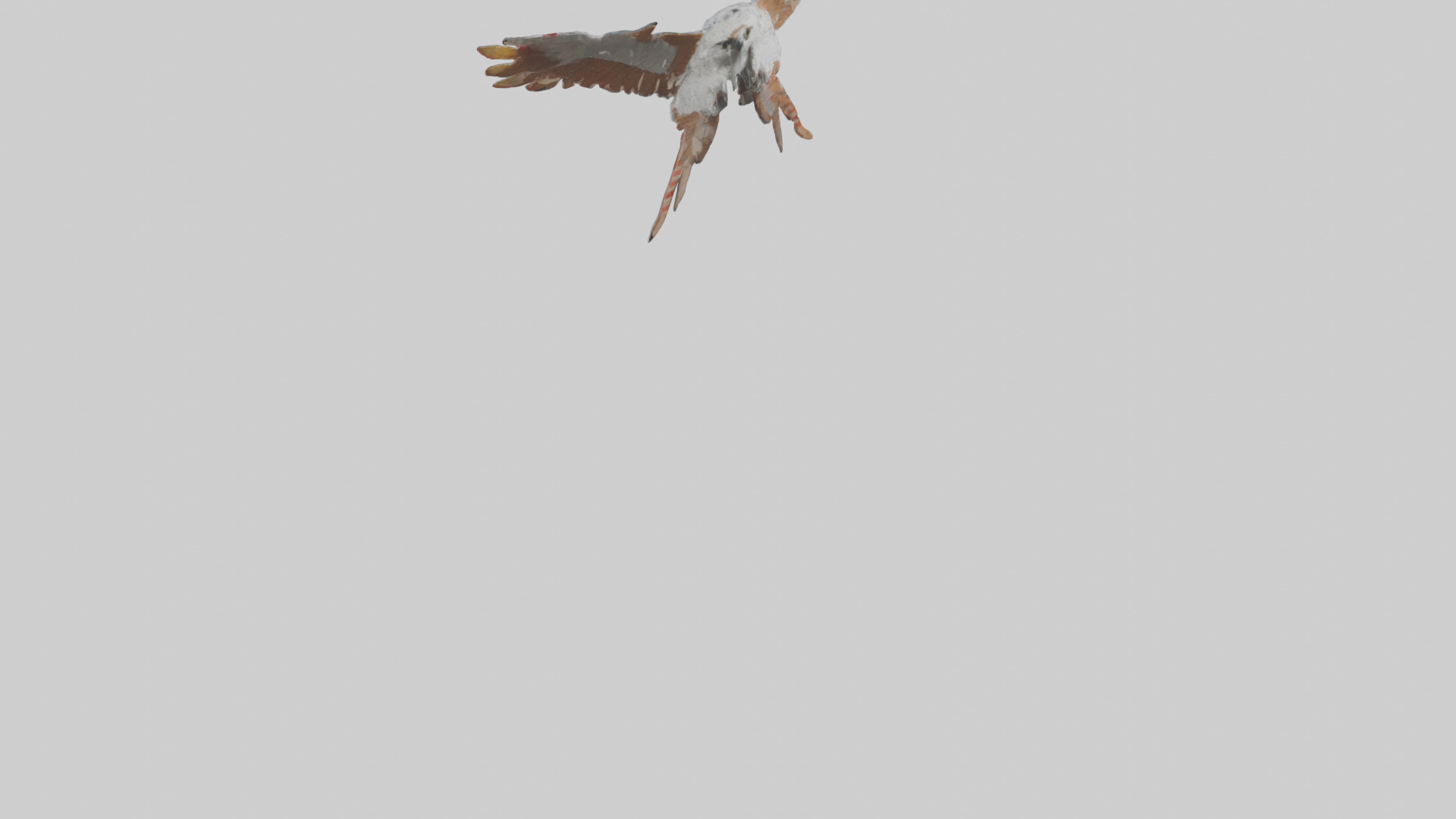 Falcon Wings Model 3D model_5