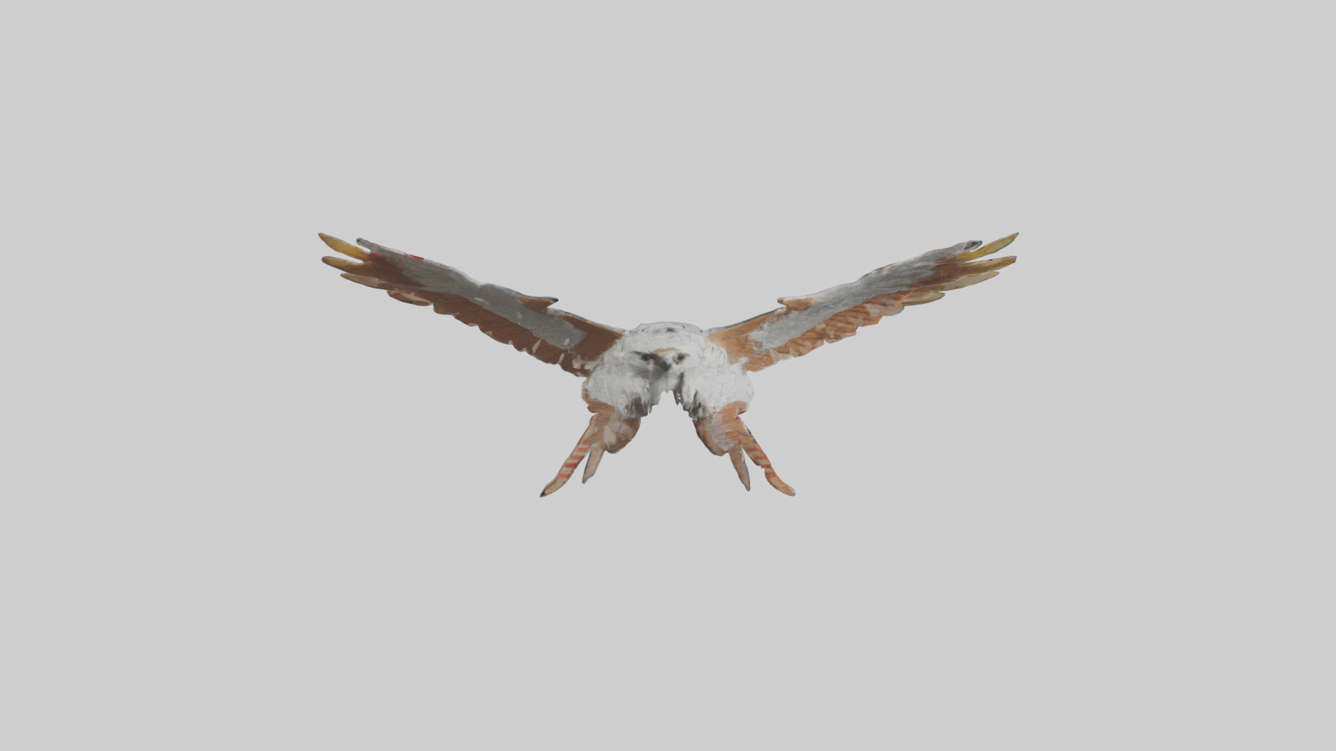 Falcon Wings Model 3D model_18