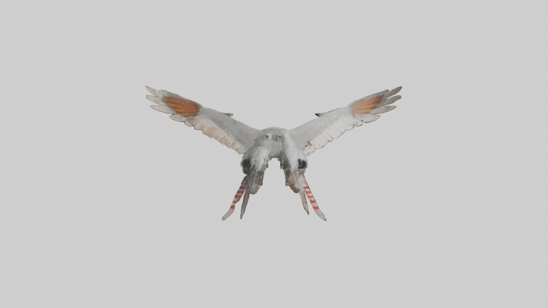 Falcon Wings Model 3D model_12