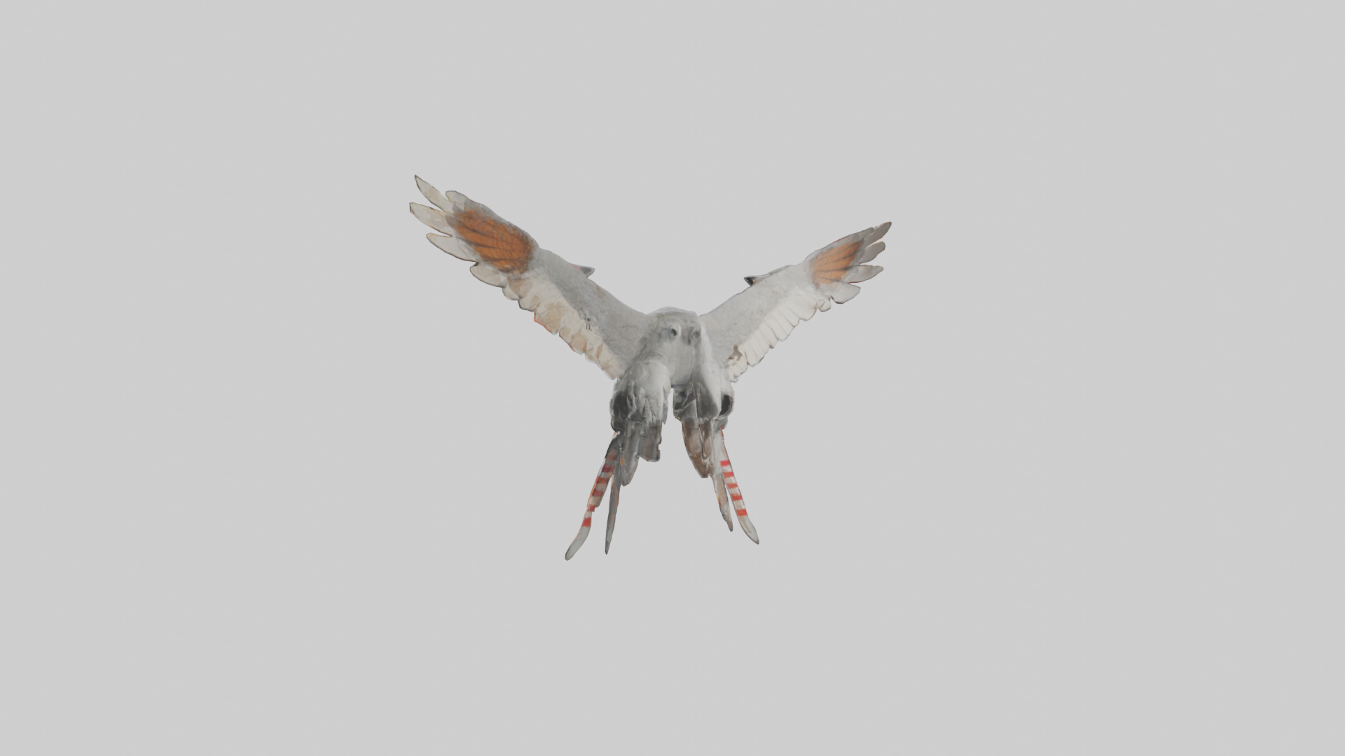 Falcon Wings Model 3D model_10