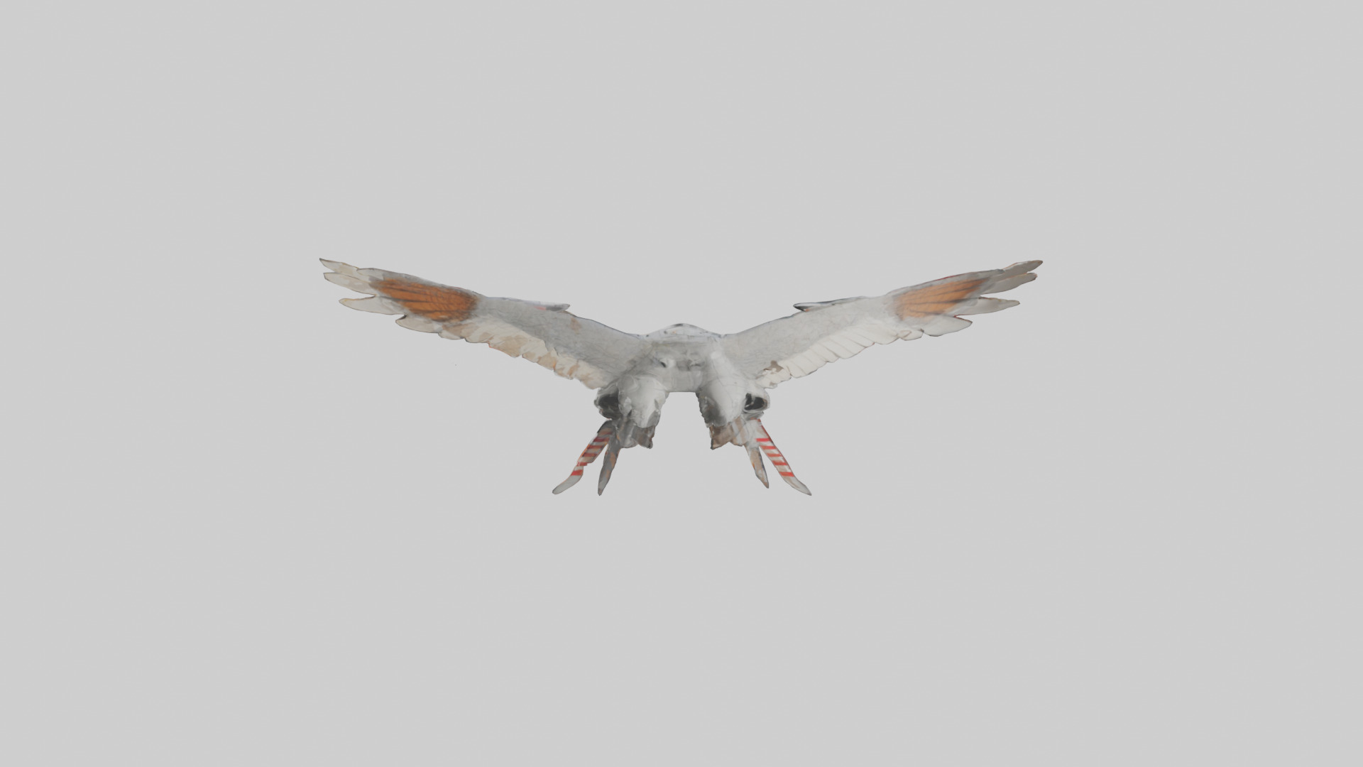 Falcon Wings Model 3D model_17