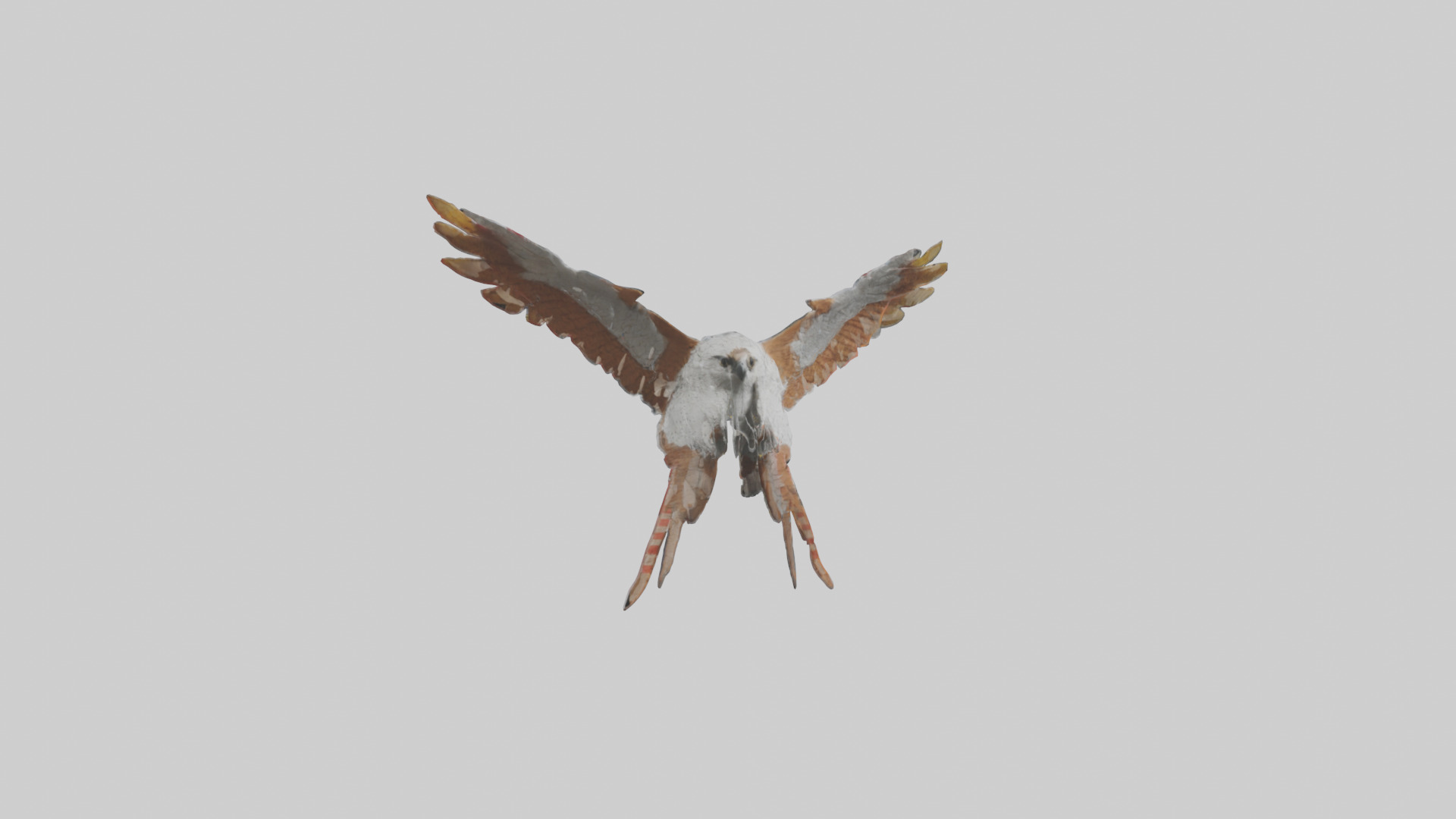 Falcon Wings Model 3D model_3